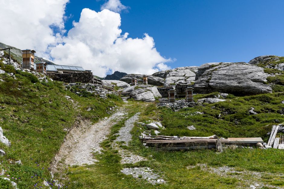 Panoramska fotografija čebelnjaka na travniku pod Gorjanci